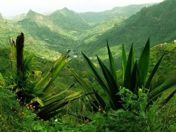 Mountain viewpoint over the interior of Santiago