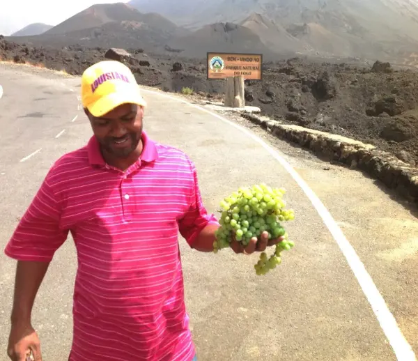 Grapes offered during a visit to Chã das Caldeiras, Fogo