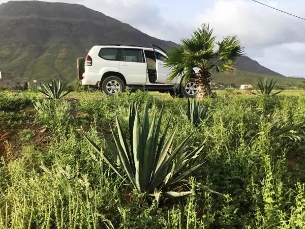 Jeep safari excursion in São Vicente
